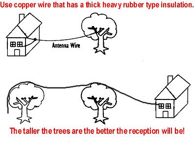 Tree Antenna